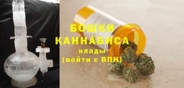 бошки Белокуриха