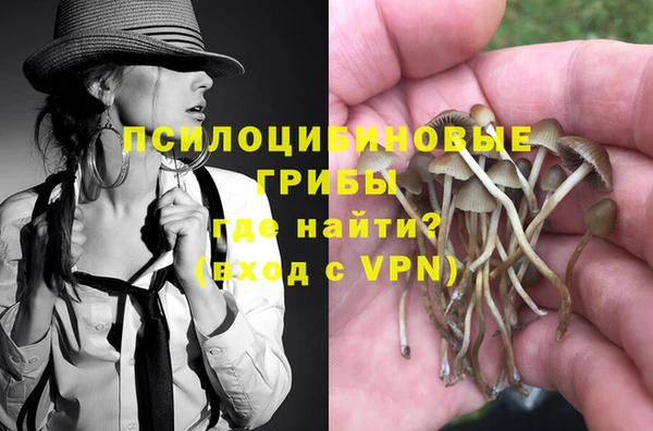 бошки Белокуриха